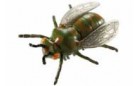 Боевые насекомые NARA - Муха