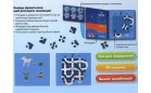 Магнитная игра Smart Games "Волшебный лес"