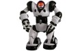Робот Wow Wee mini Robosapien