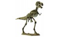 Скелет динозавра тиранносаурас Cog. Dino Horizons