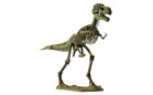 Скелет динозавра тиранносаурас Cog. Dino Horizons