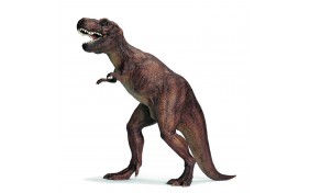 Игрушка-фигурка Schleich Тиранозавр Рекс - масштаб 1:40 - 35х22 см