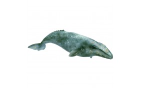 Игрушка-фигурка Schleich Серый кит - масштаб 1:32 - 30 см 