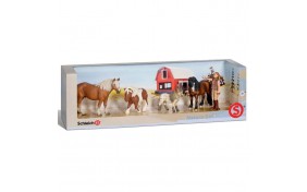 Игровой Набор Schleich Пони и фигурка инструктора