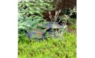 Детская техника на радиоуправлении Hobby Engine Танк Leopard