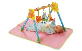 Развивающий центр TafToys