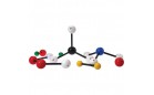 Molecular Model (Молекулярные модели)